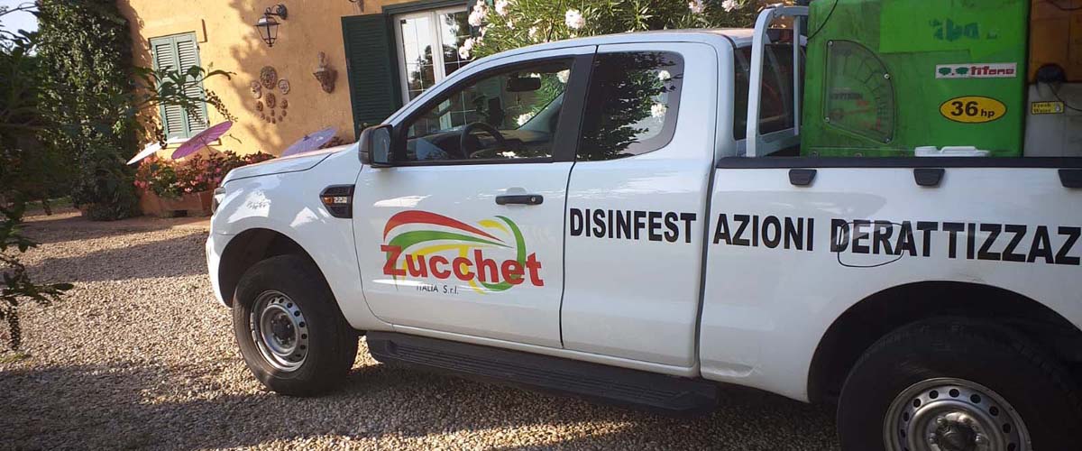 Zucchet Roma